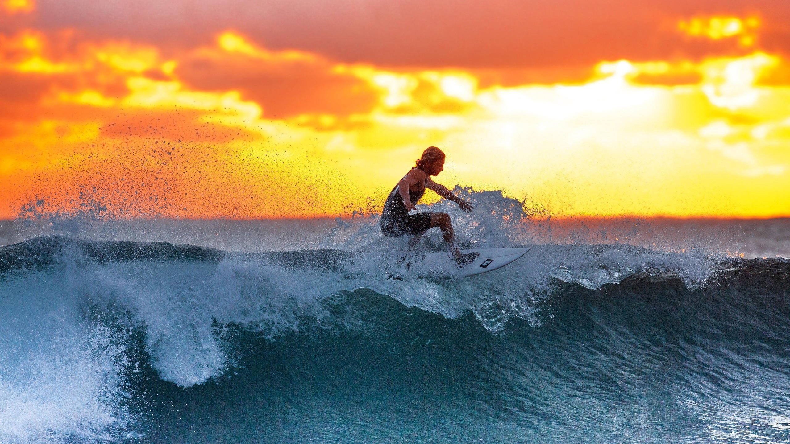 kaiyun app下载-白色城墙与黑色牢笼，尤文图斯双翼战术如何锁死孙兴慜的夜晚，白色城墙与黑色牢笼，尤文图斯双翼战术如何锁死孙兴慜的夜晚